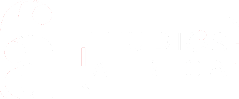 Ftudios Africa